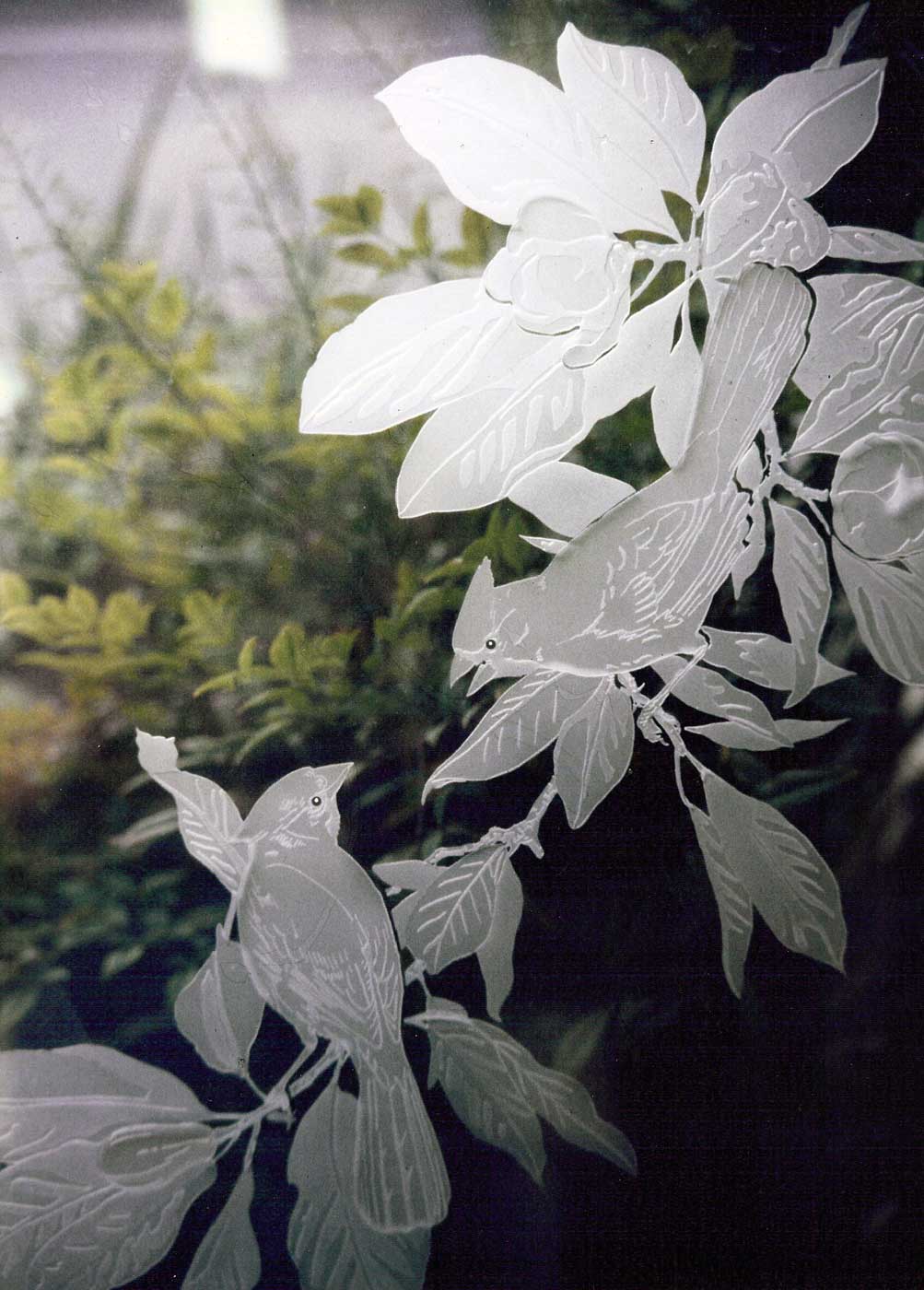 etched glass sea turtle by jay hoyt curtis